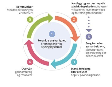 Åpenhetsloven